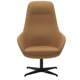 Ariel Lounge armchair